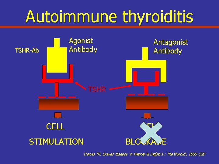 Autoimmune thyroiditis Agonist Antibody TSHR-Ab Antagonist Antibody TSHR CELL STIMULATION CELL BLOCKADE Davies TR.