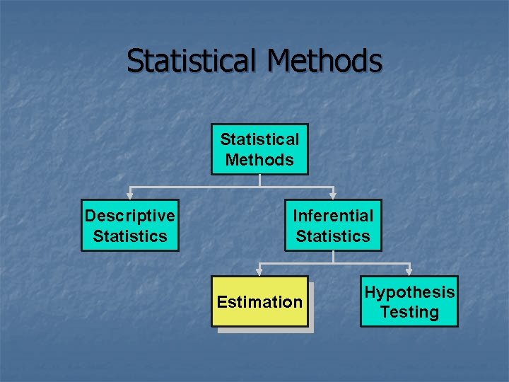 Statistical Methods Descriptive Statistics Inferential Statistics Estimation Hypothesis Testing 