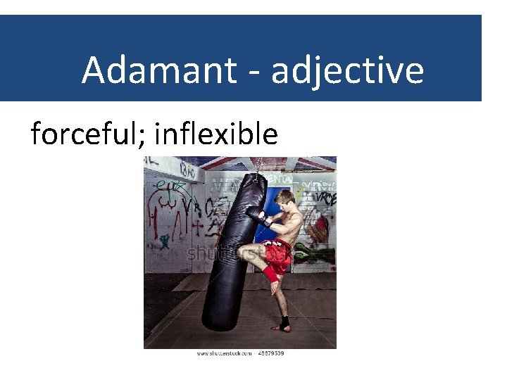 Adamant - adjective forceful; inflexible 