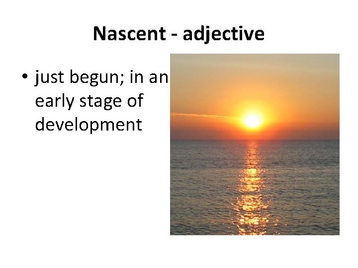 Nascent - adjective • just begun; in an early stage of development 