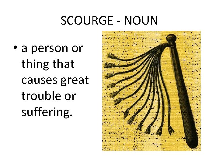 SCOURGE - NOUN • a person or thing that causes great trouble or suffering.