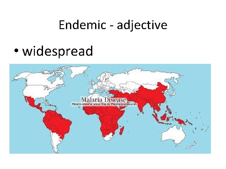 Endemic - adjective • widespread 