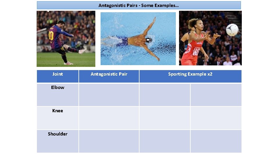 Antagonistic Pairs - Some Examples… Joint Elbow Knee Shoulder Antagonistic Pair Sporting Example x