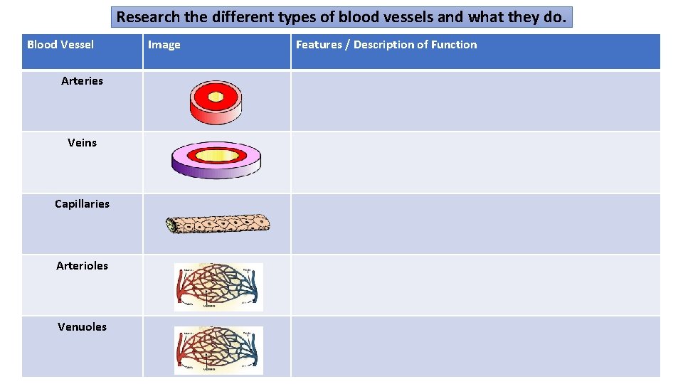 Research the different types of blood vessels and what they do. Blood Vessel Arteries