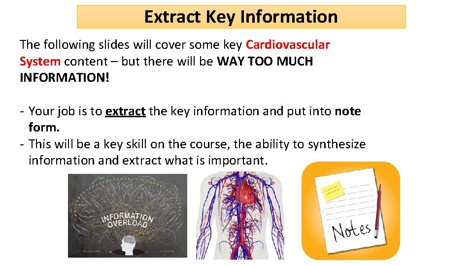 Extract Key Information The following slides will cover some key Cardiovascular System content –