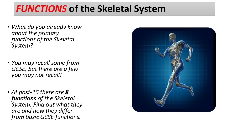 FUNCTIONS of the Skeletal System • What do you already know about the primary