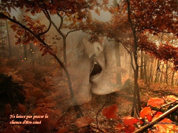 Ne laisse passer la chance d'être aimé Ne laisse passer la chance d'être aimé