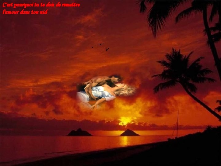 C'est pourquoi tu te dois de remettre l'amour dans ton nid C'est pourquoi tu te dois de remettre l'amour dans ton nid