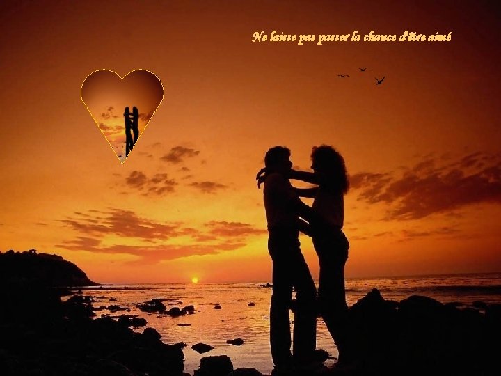 Ne laisse passer la chance d'être aimé Ne laisse passer la chance d'être aimé