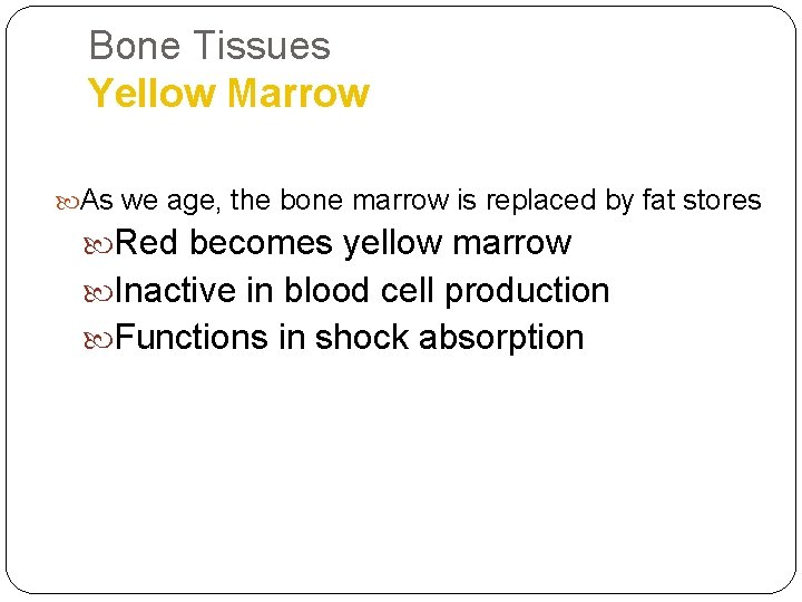 Bone Tissues Yellow Marrow As we age, the bone marrow is replaced by fat