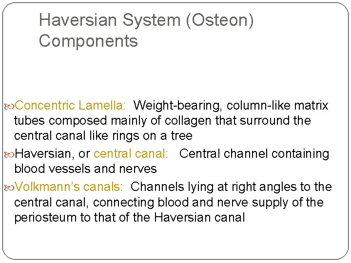 Haversian System (Osteon) Components Concentric Lamella: Weight-bearing, column-like matrix tubes composed mainly of collagen