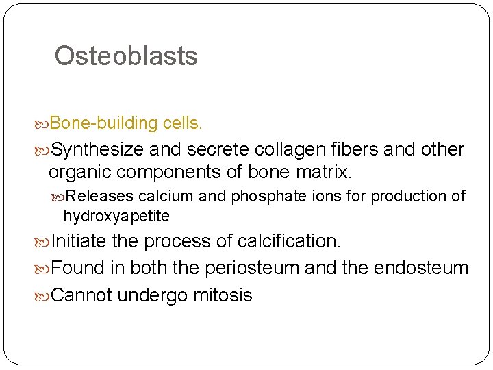 Osteoblasts Bone-building cells. Synthesize and secrete collagen fibers and other organic components of bone