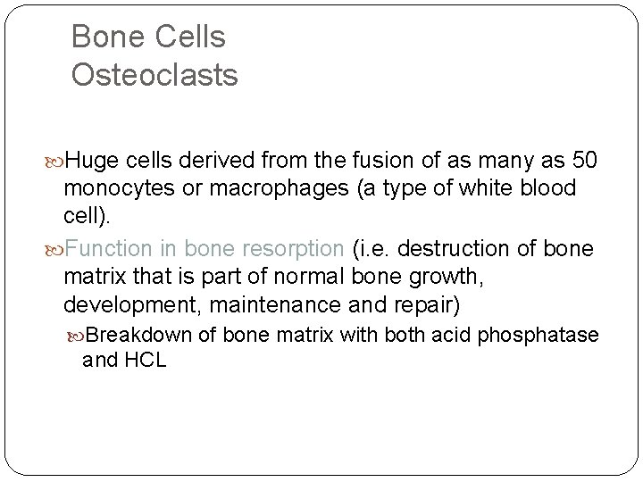 Bone Cells Osteoclasts Huge cells derived from the fusion of as many as 50