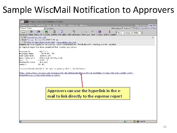 Sample Wisc. Mail Notification to Approvers can use the hyperlink in the email to