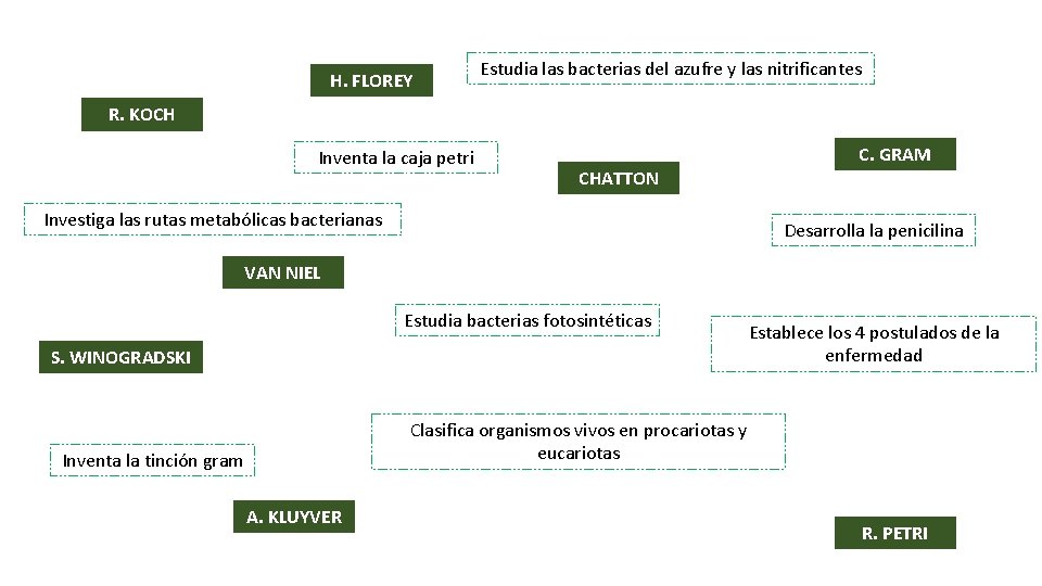 H. FLOREY Estudia las bacterias del azufre y las nitrificantes R. KOCH Inventa la