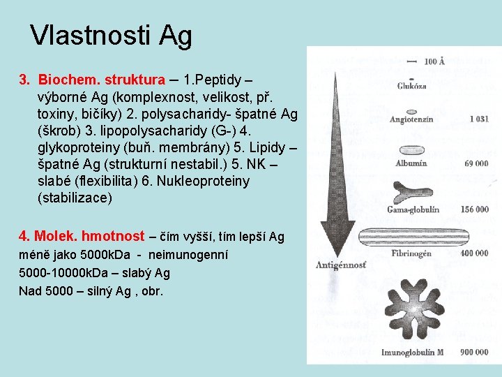 Vlastnosti Ag 3. Biochem. struktura – 1. Peptidy – výborné Ag (komplexnost, velikost, př.