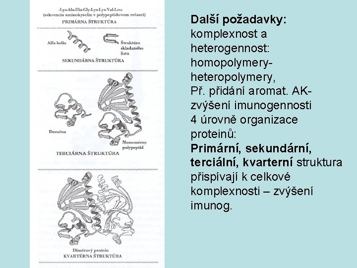 Další požadavky: komplexnost a heterogennost: homopolymeryheteropolymery, Př. přidání aromat. AKzvýšení imunogennosti 4 úrovně organizace