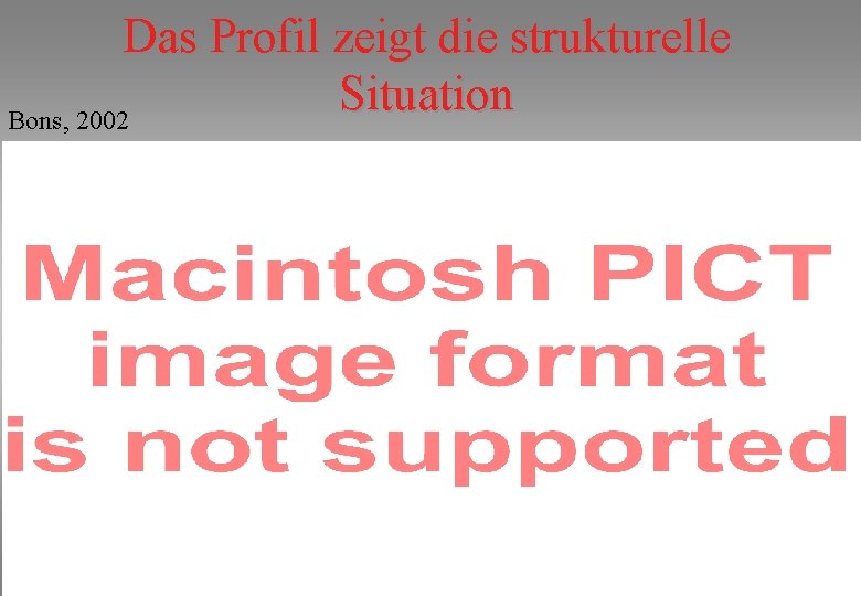 Das Profil zeigt die strukturelle Situation Bons, 2002 