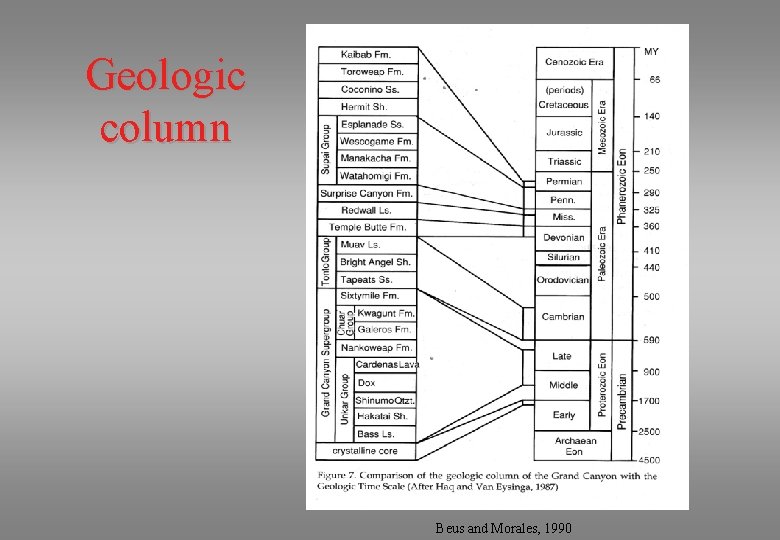 Geologic column Beus and Morales, 1990 