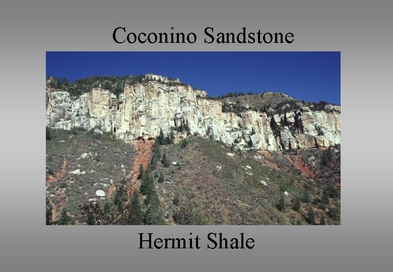 Coconino Sandstone Hermit Shale 