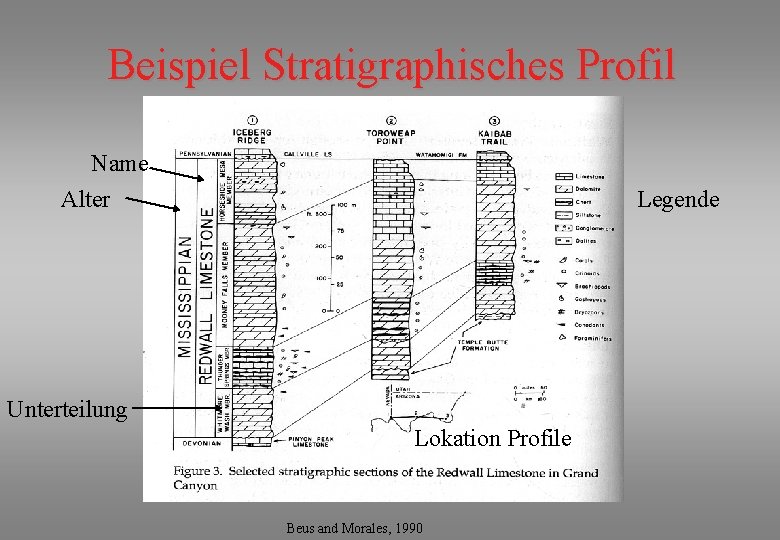 Beispiel Stratigraphisches Profil Name Alter Legende Unterteilung Lokation Profile Beus and Morales, 1990 