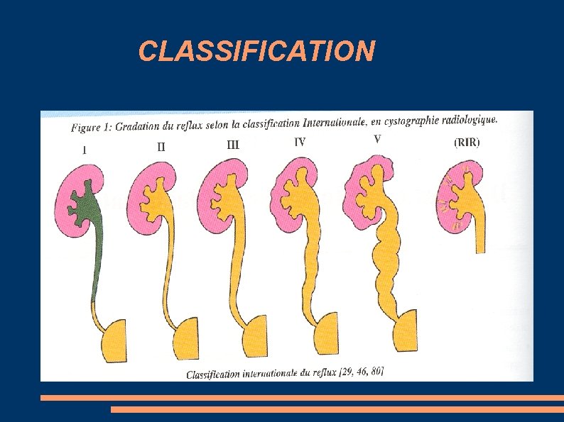 CLASSIFICATION 