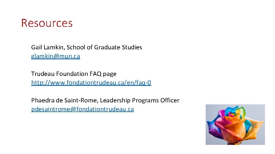 Resources Gail Lamkin, School of Graduate Studies glamkin@mun. ca Trudeau Foundation FAQ page http: