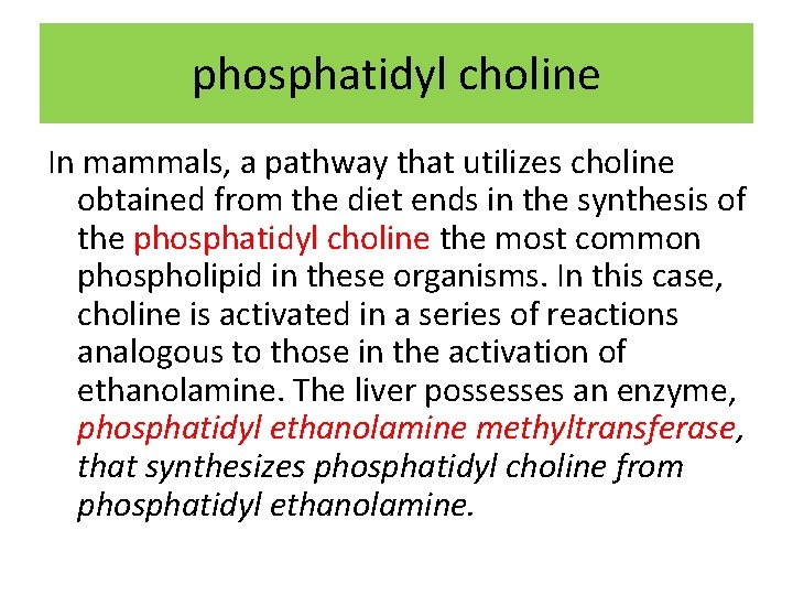 phosphatidyl choline In mammals, a pathway that utilizes choline obtained from the diet ends