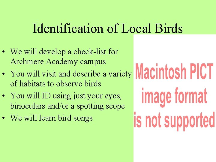 Identification of Local Birds • We will develop a check-list for Archmere Academy campus