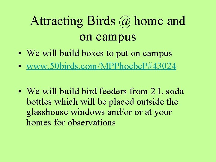 Attracting Birds @ home and on campus • We will build boxes to put
