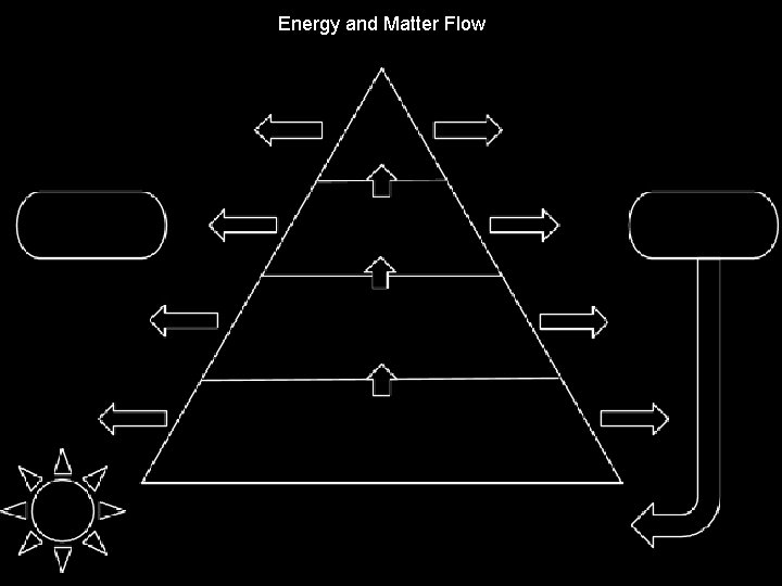 Energy and Matter Flow 