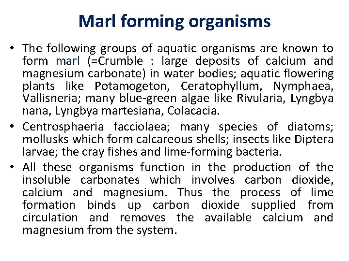 Marl forming organisms • The following groups of aquatic organisms are known to form