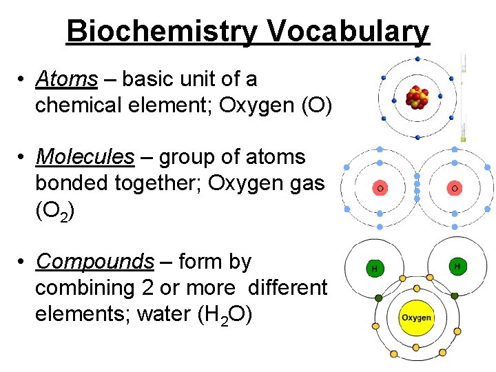 Biochemistry Vocabulary • Atoms – basic unit of a chemical element; Oxygen (O) • Biochemistry Vocabulary • Atoms – basic unit of a chemical element; Oxygen (O) •