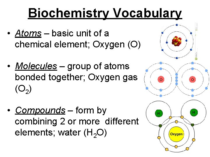 Biochemistry Vocabulary • Atoms – basic unit of a chemical element; Oxygen (O) •