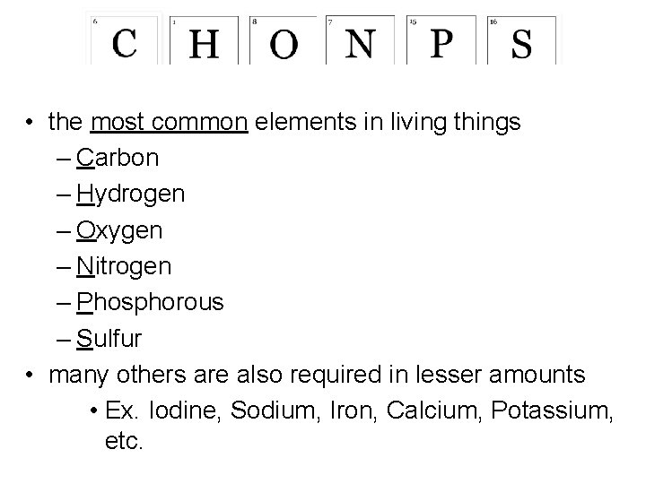  • the most common elements in living things – Carbon – Hydrogen –