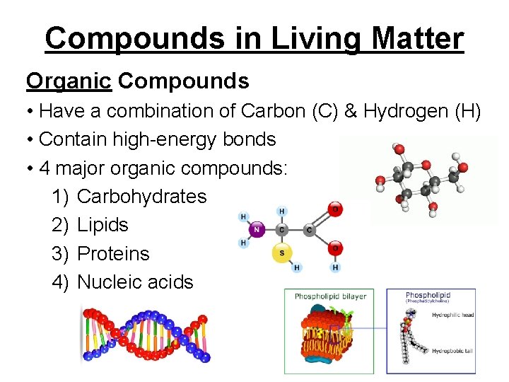 Compounds in Living Matter Organic Compounds • Have a combination of Carbon (C) &