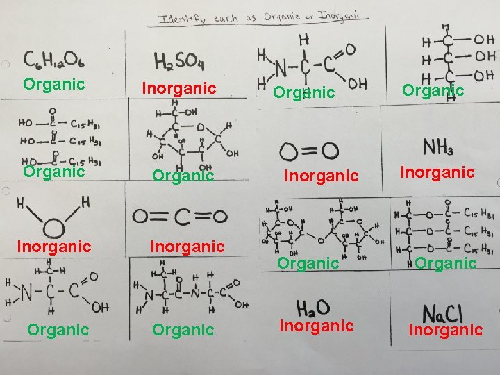 Organic Inorganic Organic Inorganic Organic Inorganic 