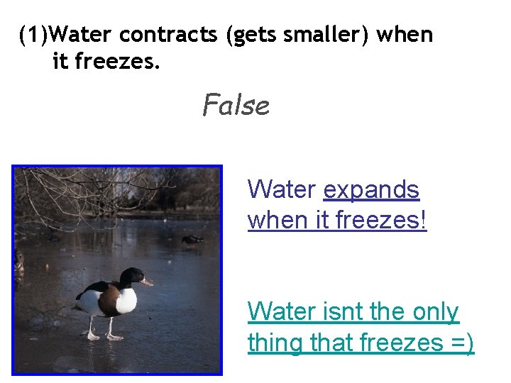 (1)Water contracts (gets smaller) when it freezes. False Water expands when it freezes! Water