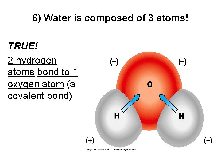 6) Water is composed of 3 atoms! TRUE! 2 hydrogen atoms bond to 1 6) Water is composed of 3 atoms! TRUE! 2 hydrogen atoms bond to 1