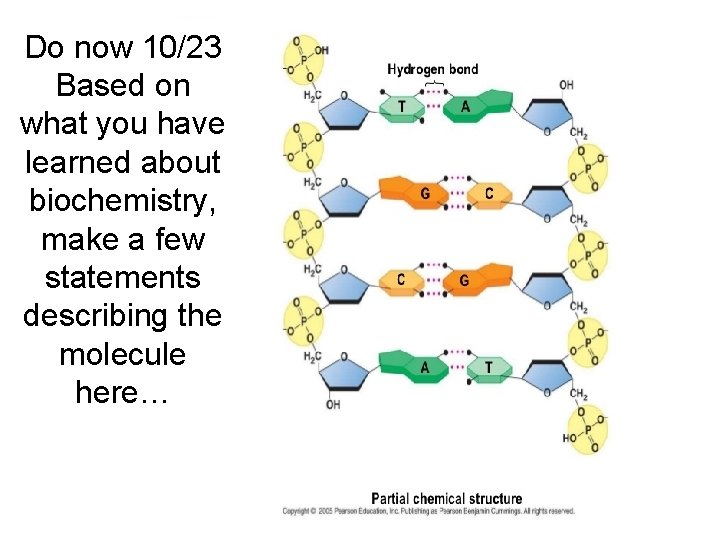 Do now 10/23 Based on what you have learned about biochemistry, make a few Do now 10/23 Based on what you have learned about biochemistry, make a few