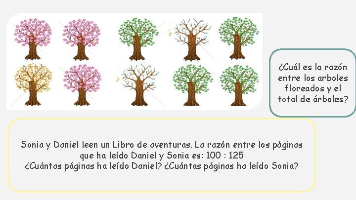 ¿Cuál es la razón entre los arboles floreados y el total de árboles? Sonia