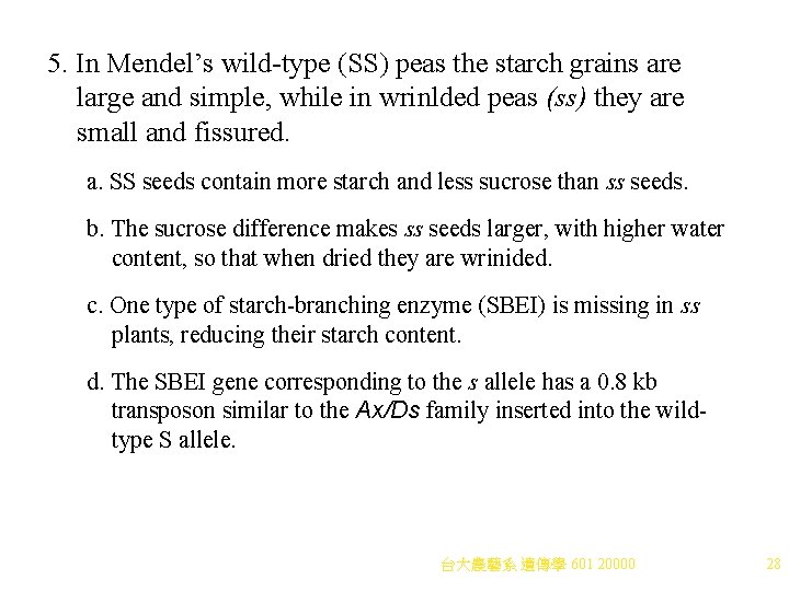 5. In Mendel’s wild-type (SS) peas the starch grains are large and simple, while