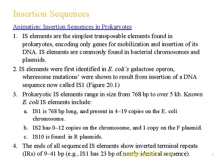 Insertion Sequences Animation: Insertion Sequences in Prokaryotes 1. IS elements are the simplest transposable