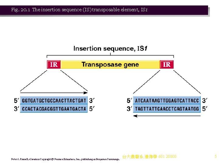 Fig. 20. 1 The insertion sequence (IS) transposable element, IS 1 Peter J. Russell,