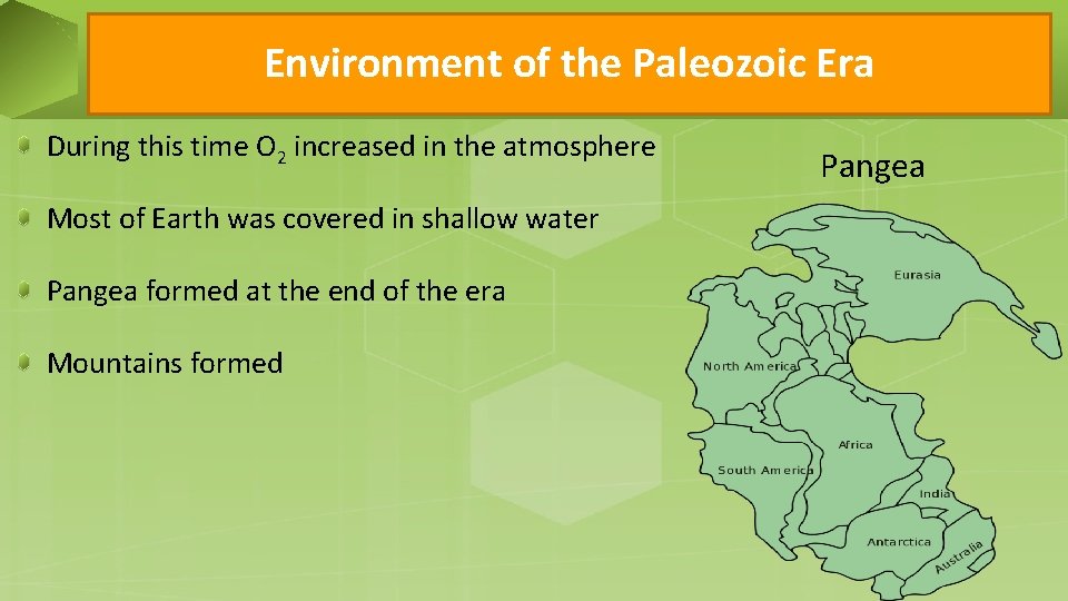 Environment of the Paleozoic Era During this time O 2 increased in the atmosphere