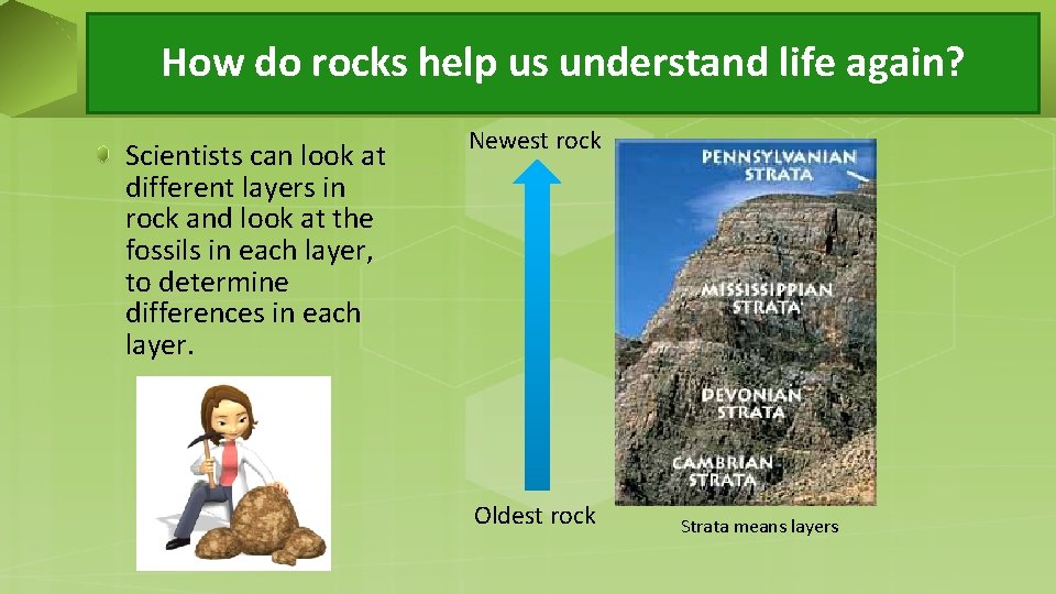 How do rocks help us understand life again? Scientists can look at different layers