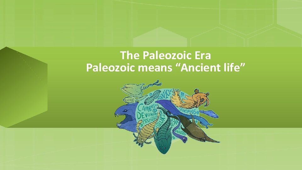 The Paleozoic Era Paleozoic means “Ancient life” 