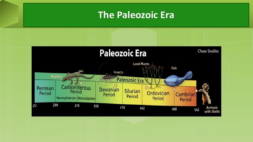 The Paleozoic Era 