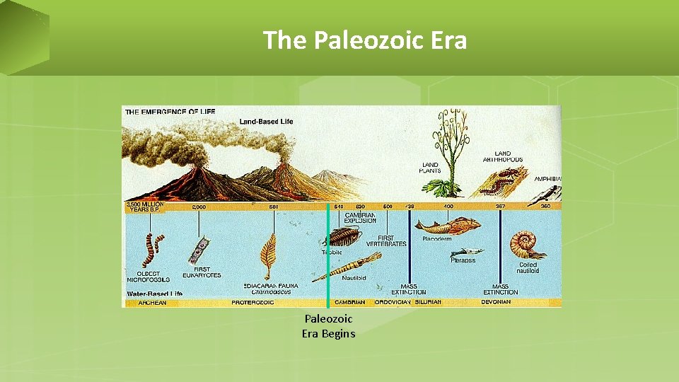 The Paleozoic Era Begins 