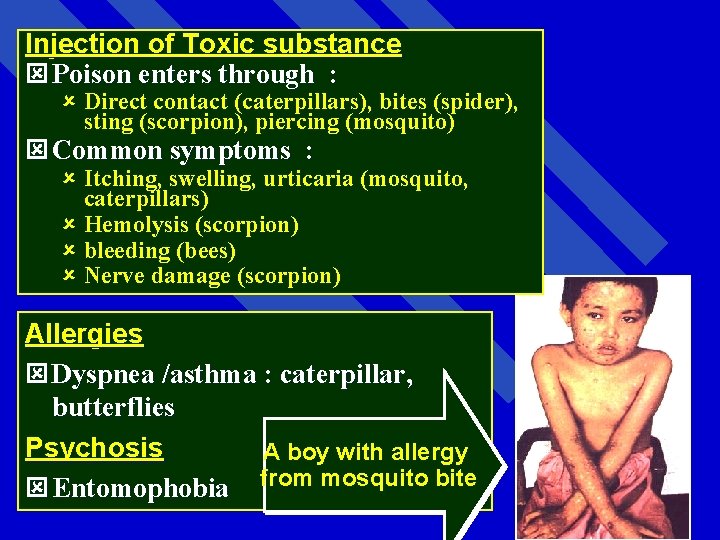 Injection of Toxic substance ý Poison enters through : û Direct contact (caterpillars), bites